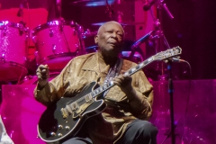 BB King