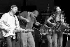 DonnaTheBuffaloIMG_7146