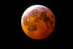 20190121-8241
