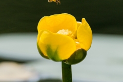 20190727-6463