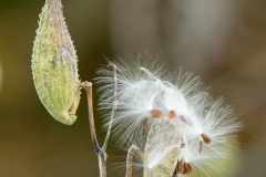 20191006-7761